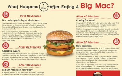 What happens in one hour after you eat a Big Mac | NEWS.am