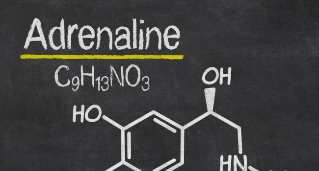 Adrenaline: The hormone that can temporarily turn you into a superhuman
