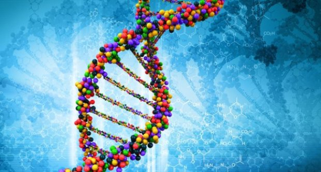 Wissenschaftliche Fortschritte: „Junk-DNA“ könnte der Schlüssel zu neuen ...