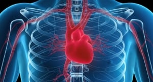 On July 3, a satellite symposium on Cardiovascular surgery to take place in Yerevan
