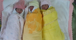 Родители родившихся в Гюмри тройняшек до последнего думали, что у них будут близнецы (фото)
