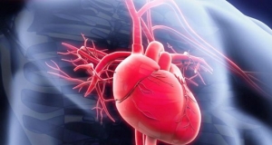 Գիտաբժշկական սեմինար՝ «Սրտի իշեմիկ հիվանդության բուժման ժամանակակից մոտեցումները» թեմայով