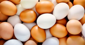 Scientists reveal benefits of egg shells for fractures