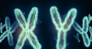 5 интересных фактов о хромосомах