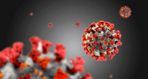 5 важных фактов: Что мы знаем об индийском варианте коронавируса?