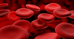 Which foods increase hemoglobin?