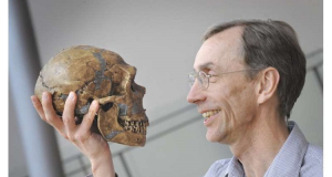 Нобелевскую премию по медицине вручат за изучение предков человека