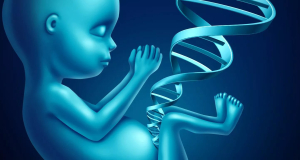 Նոյեմբերի 2-ին Երևանում տեղի կունենա «Բժշկական գենետիկայի գիտական ասպետկները» թեմայով գիտաժողով