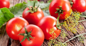 Tomatoes have positive effect on intestinal health
