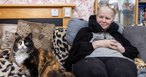 Կատուն դիաբետով հիվանդ տիրուհուն փրկել է կոմայից եւ դուրս եկել National Cat Awards մրցույթի եզրափակիչ փուլ
