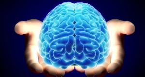 Ученые разработали мозговые имплантаты, восстанавливающие  когнитивные способности после травматического повреждения мозга