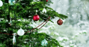 Daily Mail: натуральная новогодняя елка может вызвать аллергию