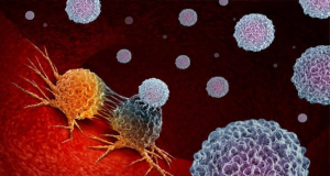 Ծերացող բջիջները կարող են նպաստել ձվարանների քաղցկեղի տարածմանը. հետազոտություն