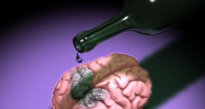 В мозге людей, злоупотреблявших алкоголем, обнаружены признаки ускоренного старения