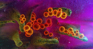 Daily Mail: изменения в кишечном микробиоме могут приводить к раку у молодых