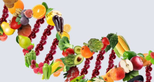 Эффективны ли ДНК-диеты?