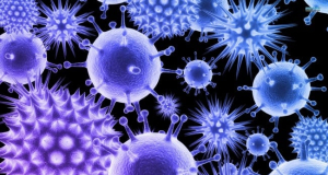 FMB: Ученые с помощью ИИ выявили 191 новый разрушительный вирус