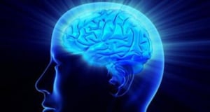 Мозг человека становится больше: Ученые считают, что это может помочь снизить риск деменции