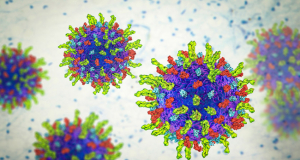 PNAS: Ученые выяснили, как вирус герпеса проникает в нервную систему