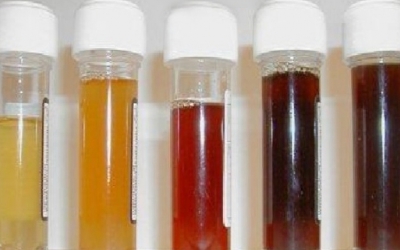 urine color dogs does dog dark yellow colour red smell health bad mean pee sample normal very urinalysis pink sign