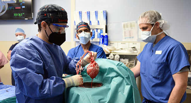 US man is successfully transplanted animal heart for first time (VIDEO)
