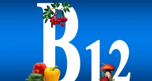 Low Levels of B12 is connected with Bone Fractures