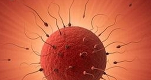 Почему во время новогодних праздников нельзя планировать ребенка?