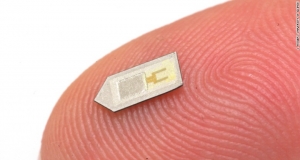 Ученые создали чип для мониторинга состояния мозга после травмы