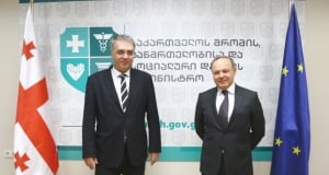 Министр здравоохранения Армении отбыл в Грузию