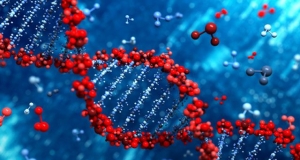 Viral vectors for gene transfer travel longer distances in the brain than thought