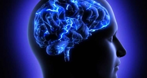 New biomarkers may help detect brain injury faster