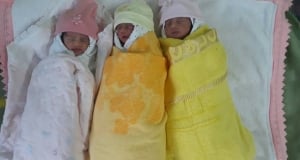 Родители родившихся в Гюмри тройняшек до последнего думали, что у них будут близнецы (фото)