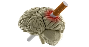 5 интересных фактов о курении и здоровье мозга
