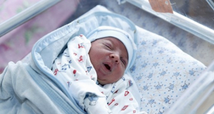56 babies were born in Yerevan on August 6