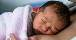 116 babies were born in Yerevan on August 8