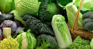 Chemicals found in vegetables prevent colon cancer in mice