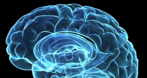 Drug promises ease for progressive multiple sclerosis: study