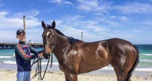 Հեծկան ձիու հարվածը 21-ամյա տղամարդուն փրկել է քաղցկեղի հետեւանքով մահանալուց