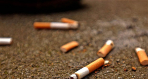 Scientists say cigarettes dangerous for both humans and nature
