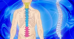 Researchers study early spinal response to injury and ways to improve it