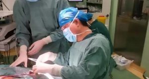 
Բժիշկները փրկել են երեխայի կյանքը, որի գանգը ծակել էր մեծ մկրատը (ֆոտո)