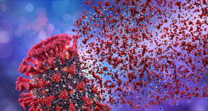 Scientists discover new "gateway" via which COVID-19 can enter lungs