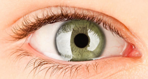 COVID-19 can infect eye cells, research claims
