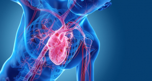 Turning off one protein may help prevent heart failure, research claims
