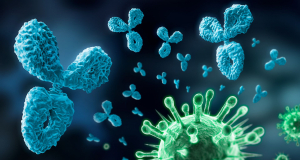 Can antibodies neutralizing all strains of COVID-19 stop a pandemic?