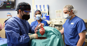 US man is successfully transplanted animal heart for first time