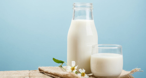 How can milk affect multiple sclerosis?