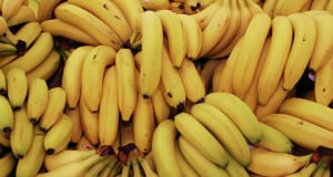 What are benefits of bananas?