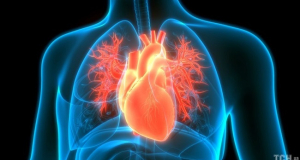 Синдром разбитого сердца: что это и почему происходит?