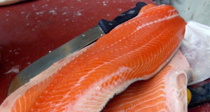 Scientists find out dangers of excessive fish consumption